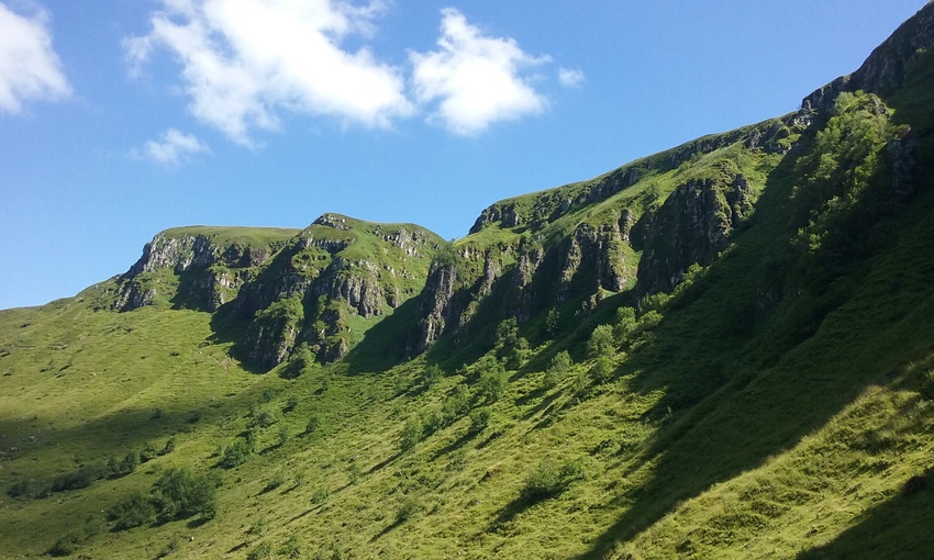 One field site included in this study a high elevation habitat with permanent access to