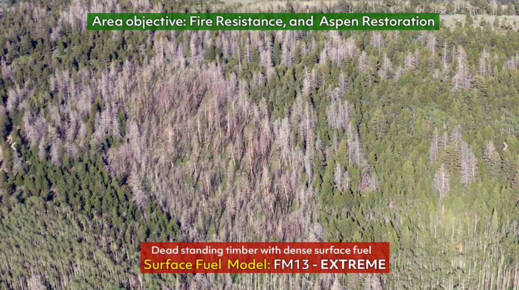 New Pic Wildfire Resilience Program