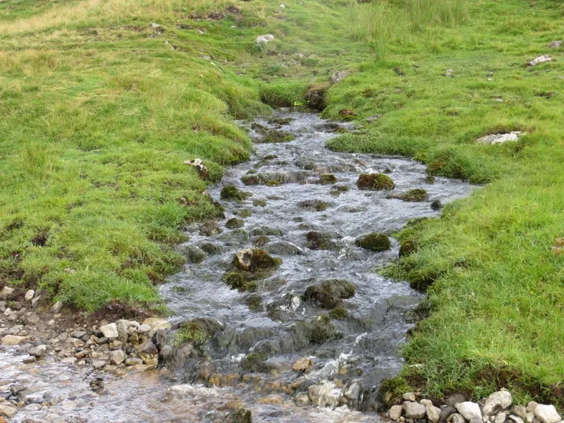 Mountain Spring